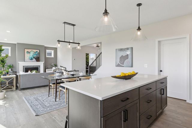 10115 Blackmoor Road, Woodbury, MN 55129