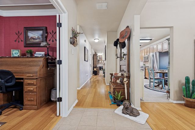 1309 Cedar Springs Drive, Allen, TX 75002