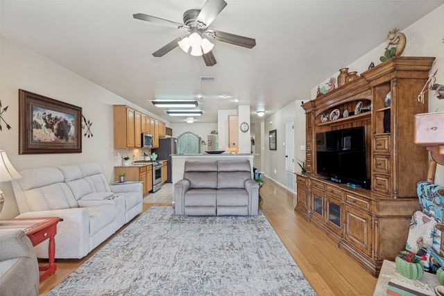 1309 Cedar Springs Drive, Allen, TX 75002
