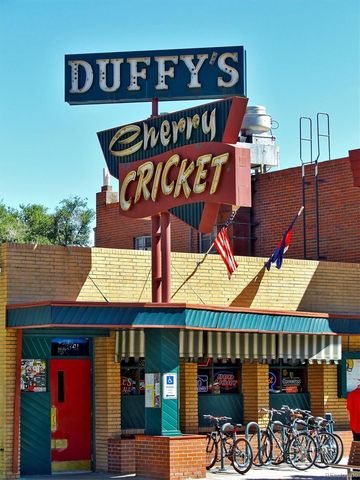 245 Gaylord Street, Denver, CO 80206