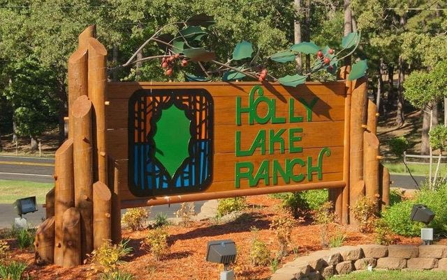 207 Pagosa Lane, Holly Lake Ranch, TX 75765