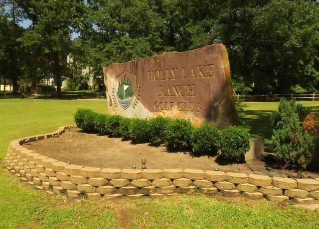 207 Pagosa Lane, Holly Lake Ranch, TX 75765