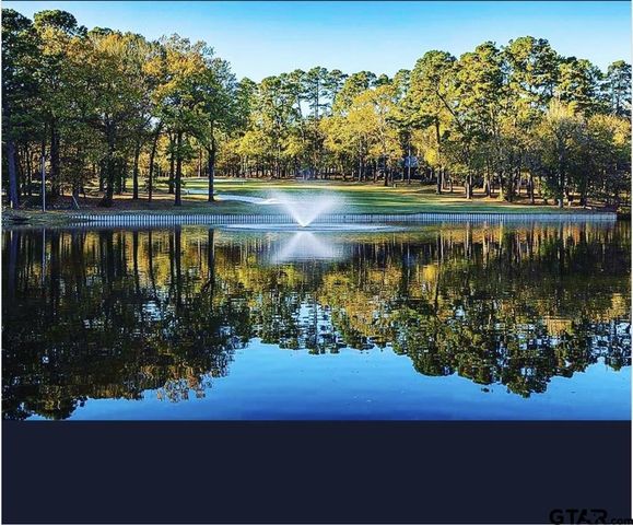 207 Pagosa Lane, Holly Lake Ranch, TX 75765