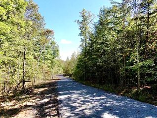 0 Owl Hollow Road Lot 5, Palmer, TN 37365