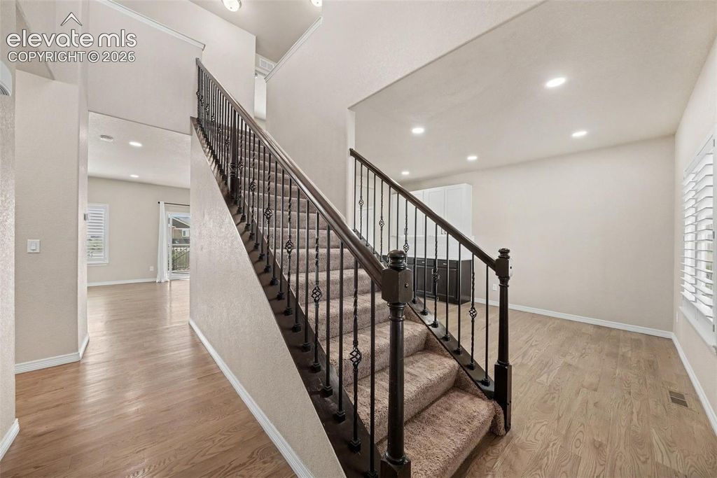 803 Deschutes Drive, Colorado Springs, CO 80921 — photo 5