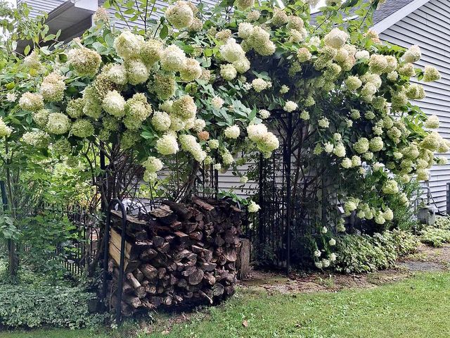 33671 Woodmont Ridge Drive, New Carlisle, IN 46552