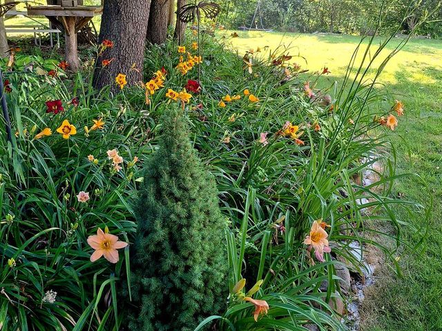 33671 Woodmont Ridge Drive, New Carlisle, IN 46552