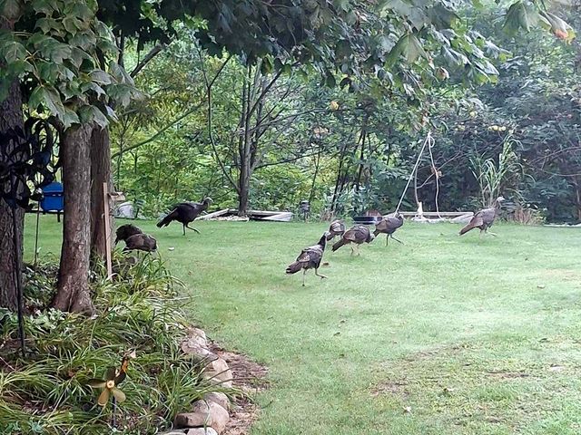 33671 Woodmont Ridge Drive, New Carlisle, IN 46552