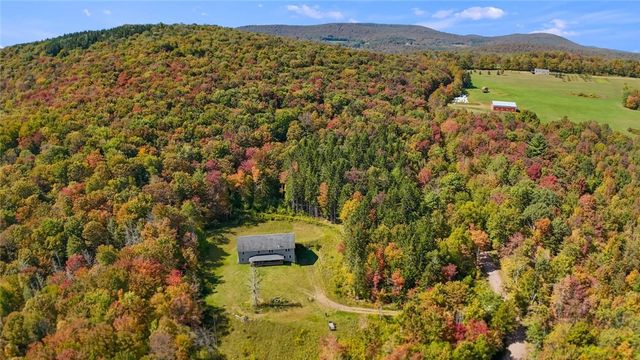 1724 Calhoun Hill Road, Andes, NY 13731