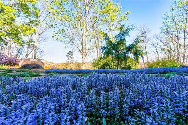 1103 Apple Pie Ridge Road, Alto, GA 30510
