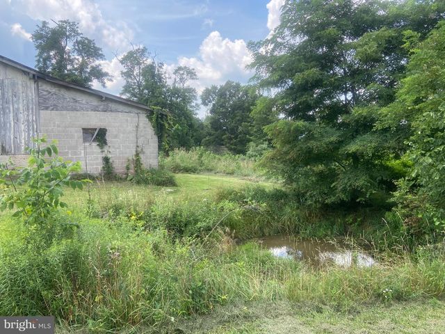 21205 LONG MOUNTAIN ROAD, Westernport, MD 21562