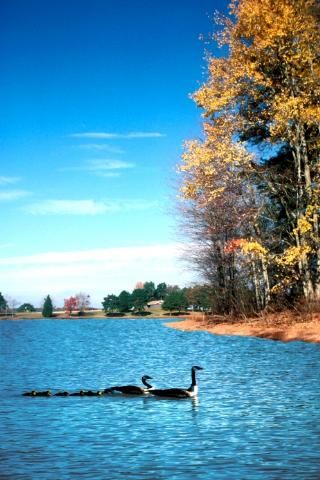 110 Crosby Drive, Fair Play, SC 29643