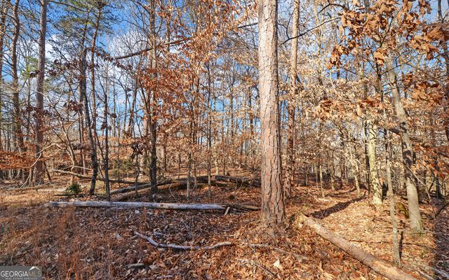 4431 Jim Hood Road, Gainesville, GA 30506