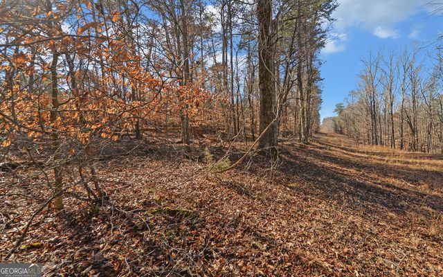 4431 Jim Hood Road, Gainesville, GA 30506