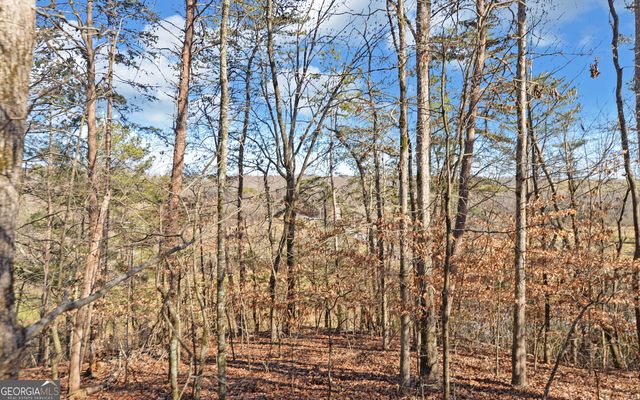 4431 Jim Hood Road, Gainesville, GA 30506