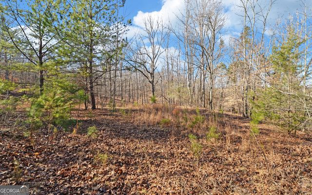 4431 Jim Hood Road, Gainesville, GA 30506