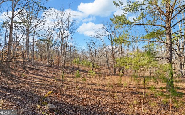 4431 Jim Hood Road, Gainesville, GA 30506