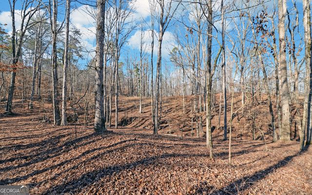 4431 Jim Hood Road, Gainesville, GA 30506