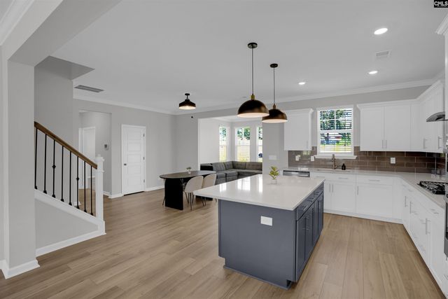 254 Horse Farm Place, Lexington, SC 29072