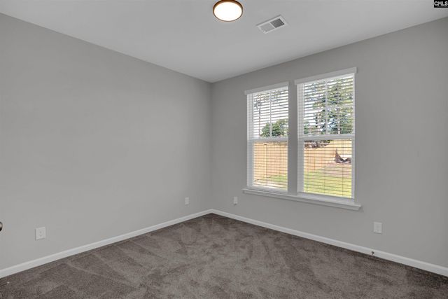 254 Horse Farm Place, Lexington, SC 29072