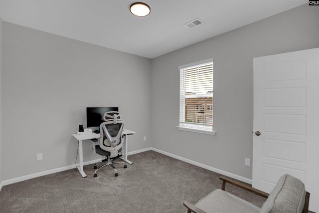 254 Horse Farm Place, Lexington, SC 29072