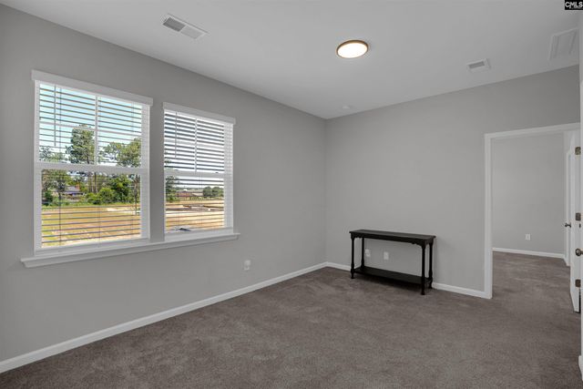 254 Horse Farm Place, Lexington, SC 29072