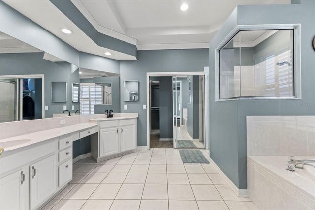 11621 RENAISSANCE VIEW COURT, Tampa, FL 33626
