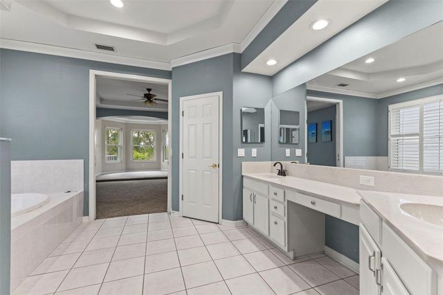 11621 RENAISSANCE VIEW COURT, Tampa, FL 33626