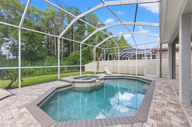 11621 RENAISSANCE VIEW COURT, Tampa, FL 33626