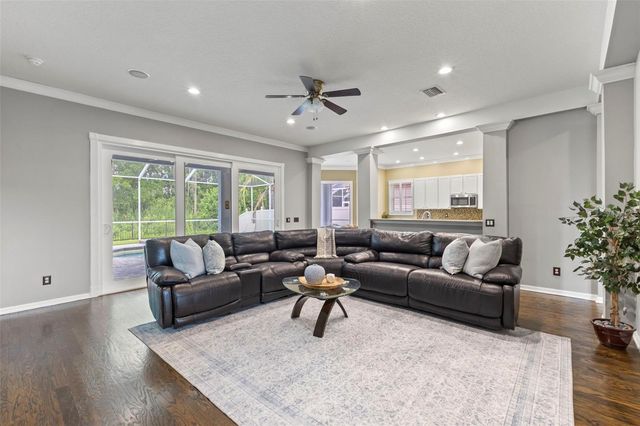 11621 RENAISSANCE VIEW COURT, Tampa, FL 33626