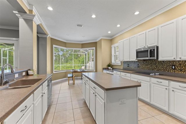 11621 RENAISSANCE VIEW COURT, Tampa, FL 33626