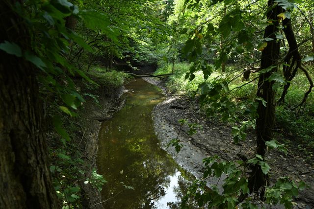 14888 CR 687, South Haven, MI 49090