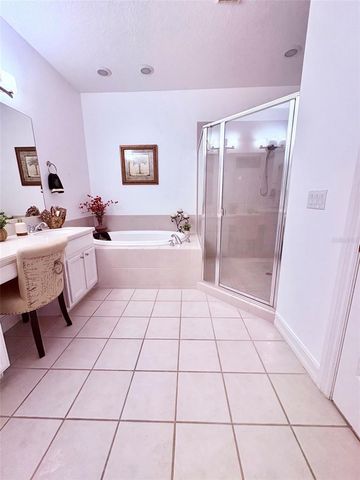 10432 LA MIRAGE COURT, Tampa, FL 33615