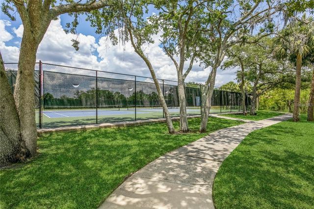 10432 LA MIRAGE COURT, Tampa, FL 33615