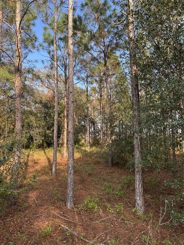 STATE ROAD 44, Eustis, FL 32726