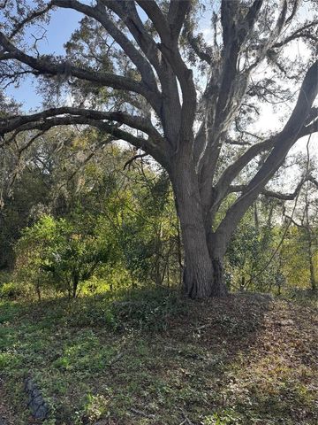 STATE ROAD 44, Eustis, FL 32726