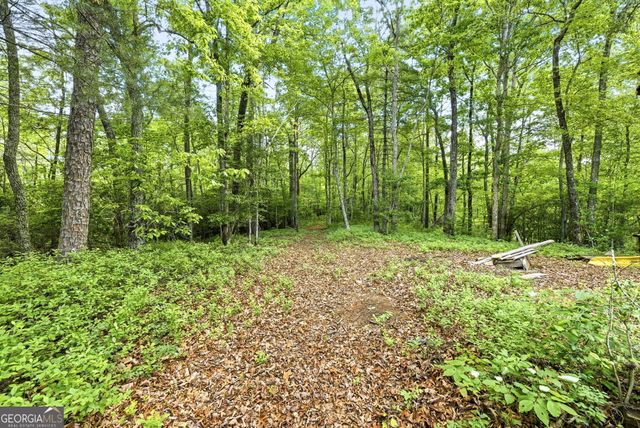 915 Sillycook Trail, Clarkesville, GA 30523