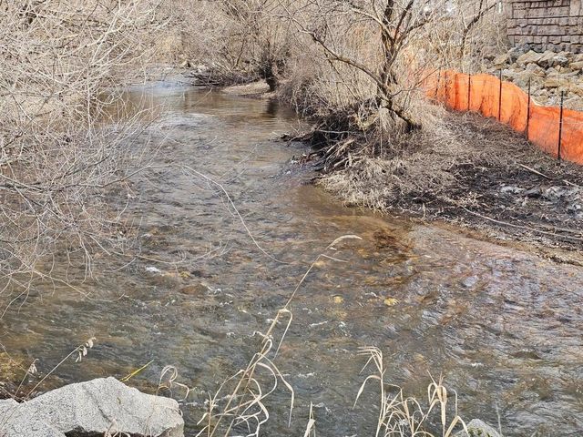 647 Elm Tree Dr, Colville, WA 99114