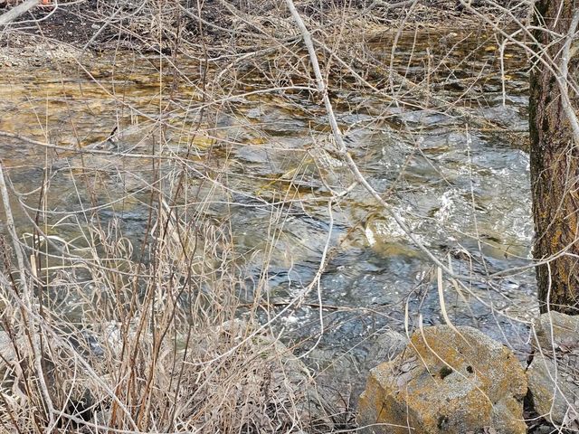 647 Elm Tree Dr, Colville, WA 99114