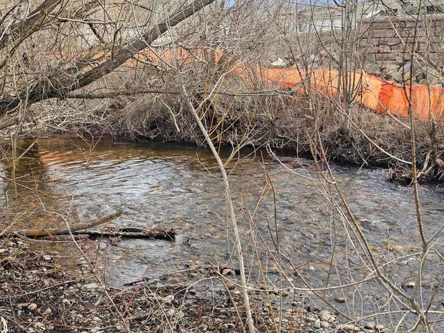 647 Elm Tree Dr, Colville, WA 99114