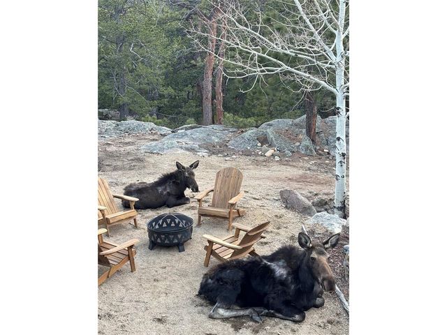 31911 Warrens Rd, Golden, CO 80403