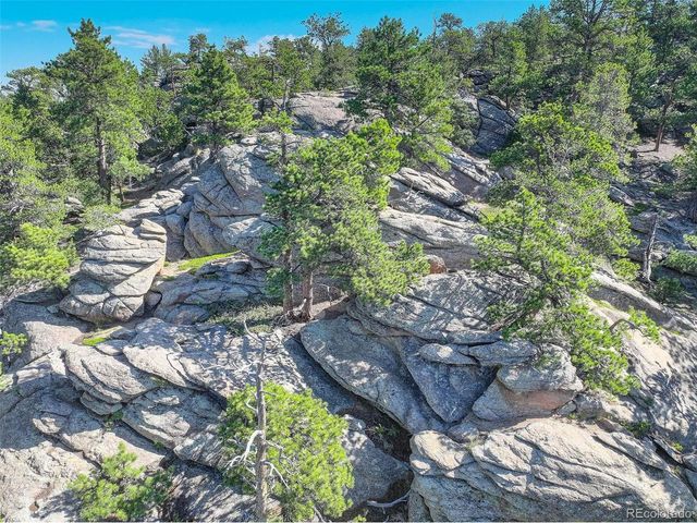 31911 Warrens Rd, Golden, CO 80403