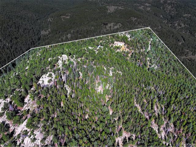 31911 Warrens Rd, Golden, CO 80403