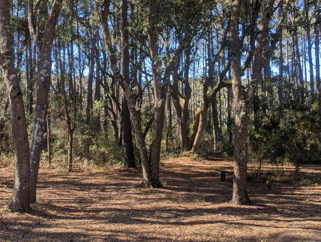 2134 Mcneil Washington Road, Charleston, SC 29412