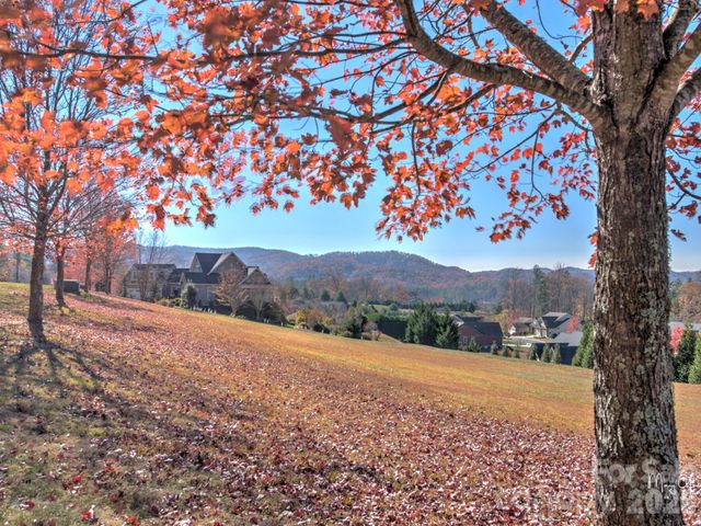 2208 E Cumming Woods Lane, Hendersonville, NC 28739