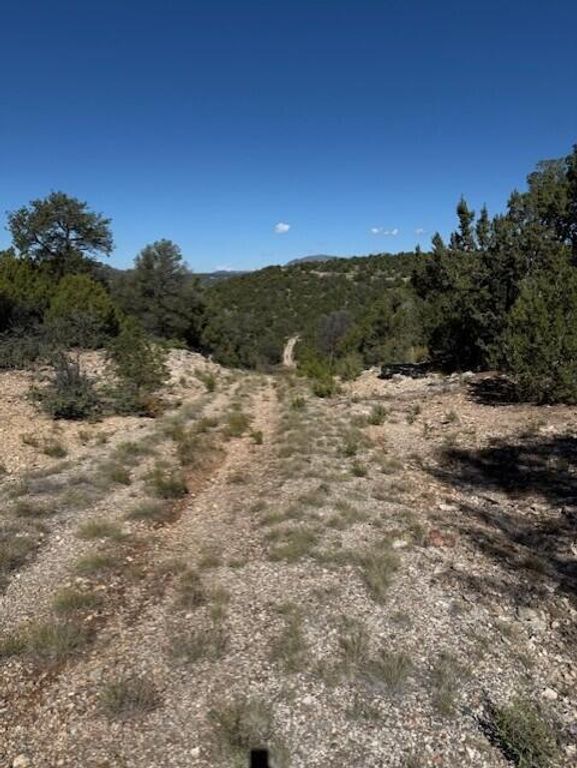 Image 4 of property listing at 0 Edgewood Road, Edgewood, NM 87015
