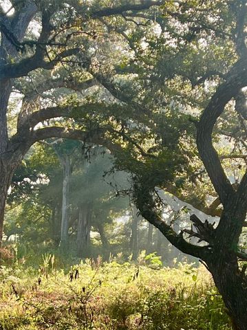 10324 Fm 530, Hallettsville, TX 77964