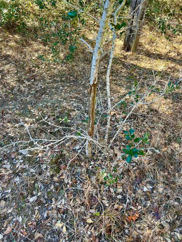 10324 Fm 530, Hallettsville, TX 77964