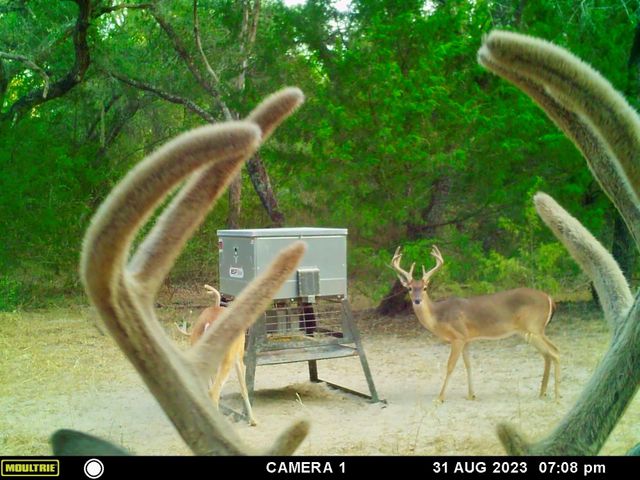 10324 Fm 530, Hallettsville, TX 77964