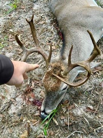 10324 Fm 530, Hallettsville, TX 77964